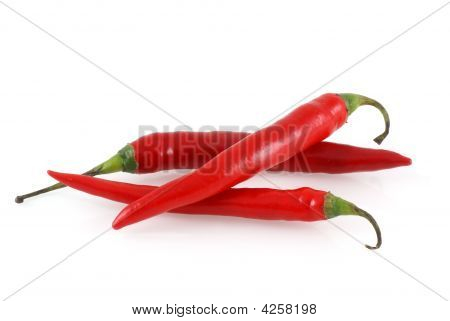 레드 핫 칠리 페퍼스입니다.