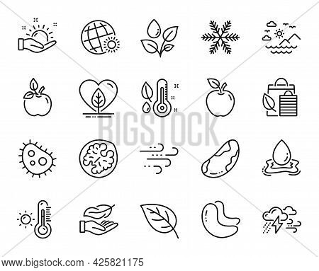 Vector Set Of Bad Weather, Sea Mountains And Lightweight Line Icons Set. Walnut, Leaf And Cashew Nut