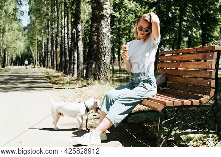 Beautiful Fashionable Young Woman Relaxing In The Park With Her Dog. Girl In Glasses Sitting On A Be