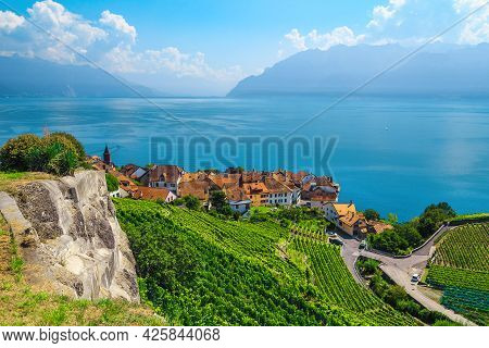 Beautiful View From The Hill With Terraced Vineyards And Rivaz Village On The Shore Of The Geneva La