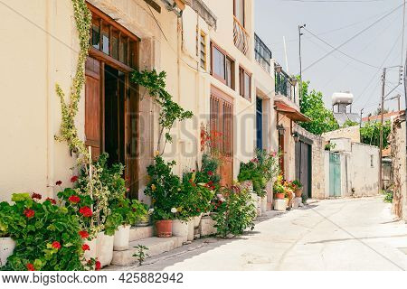 Sunny Narrow Street In Old Village Omodos On Cyprus. Stone Walls And Vibrant Green Plants On A Sunny