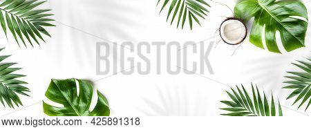 Tropical Leaves, Monstera Plants And Coconut Isolated On White Background. Summer Concept, Leaf Shad