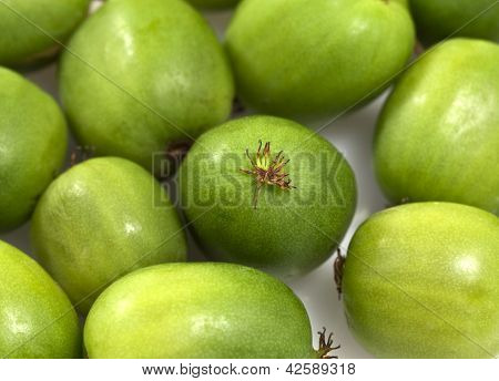 Kivi Berry veya Actinidia arguta