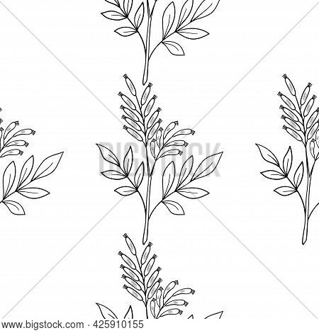 Bitter Wood, Seamless B-w Dd Ww Herb