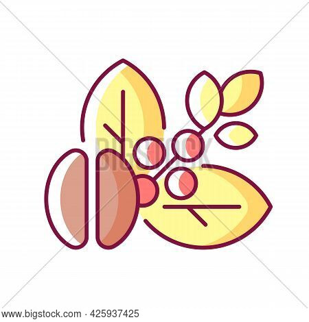 Raw Coffee Beans Rgb Color Icon. Unprocessed Arabica. Unroasted Robusta Seeds. Plant With Coffee Fru