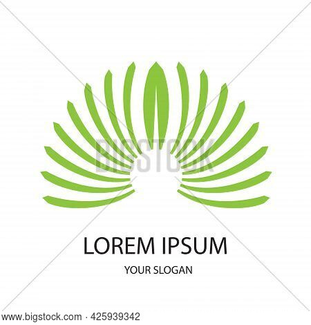 Beautiful Lotus Vektor Of Suitable For Brand