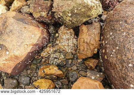 Stones Rock In Sea On Beach Nature Ocean
