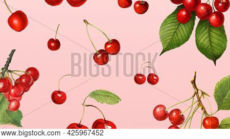 Hand drawn natural fresh red cherry on pink background illustration