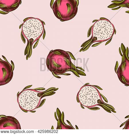 Seamless Pattern With Hand Drawn Colored Pitaya Stock Illustration