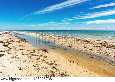 Wild Beautiful Beach On The Dzharylgach Island In The Black Sea.