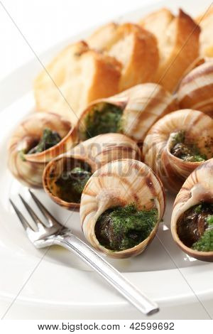 Escargot, csigák, La BÉLSZINJAVA