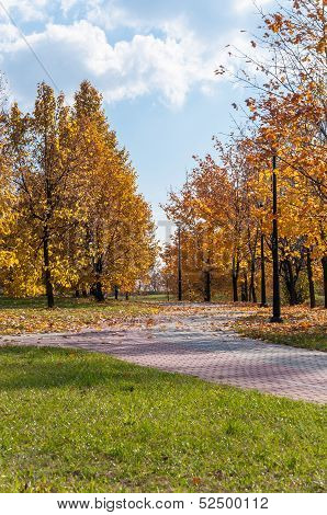 Alley In A Park, Autumn