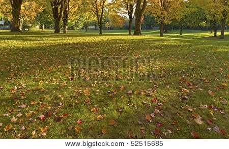 Public Park Gresham Oregon.