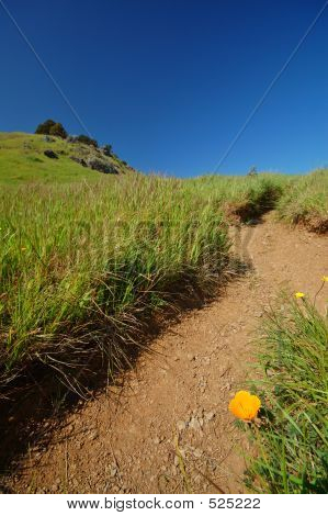 MT Tamaplais Weg