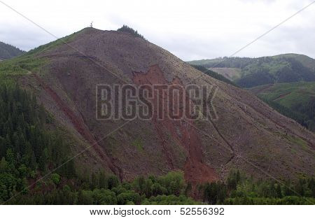 Washington Forest Mudslides