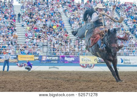 Reno Rodeo
