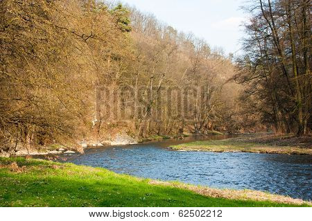Springy View Of River And Wood