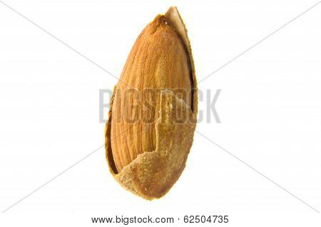 Almond