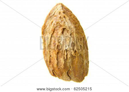 Almond