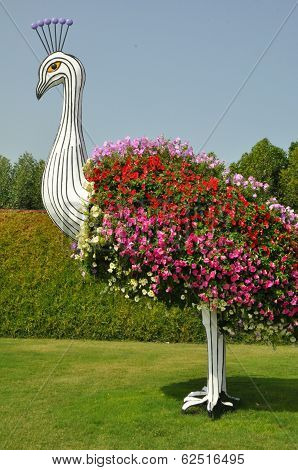 Dubai Miracle Garden in the UAE