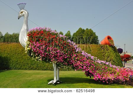 Dubai Miracle Garden in the UAE