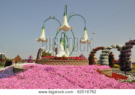 Dubai Miracle Garden in the UAE