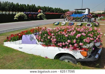 Dubai Miracle Garden in the UAE