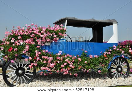 Dubai Miracle Garden in the UAE