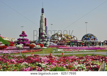 Dubai Miracle Garden in the UAE