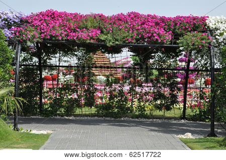 Dubai Miracle Garden in the UAE