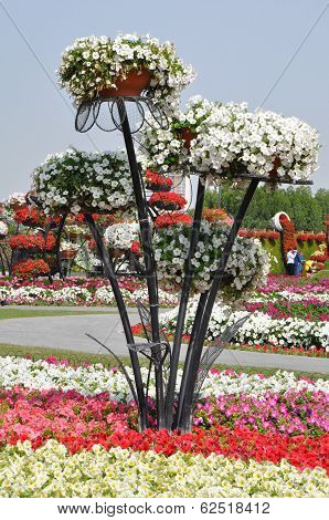 Dubai Miracle Garden in the UAE