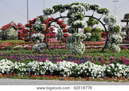 Dubai Miracle Garden in the UAE