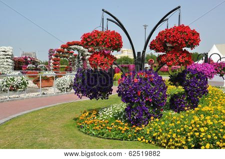 Dubai Miracle Garden in the UAE,