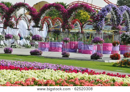 Dubai Miracle Garden in the UAE