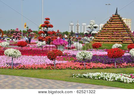 Dubai Miracle Garden in the UAE