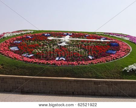 Dubai Miracle Garden in the UAE
