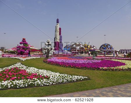 Dubai Miracle Garden in the UAE