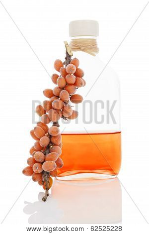 Sea Buckthorn.