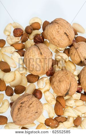 mixed nuts - hazelnuts walnuts cashews pine nuts isolated on white background