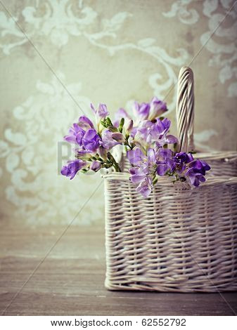Purple Freesia Flowers in a Basket