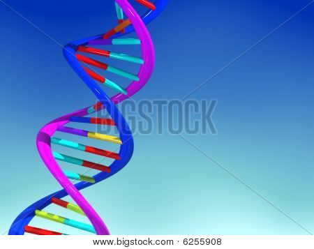 Dna 的结构