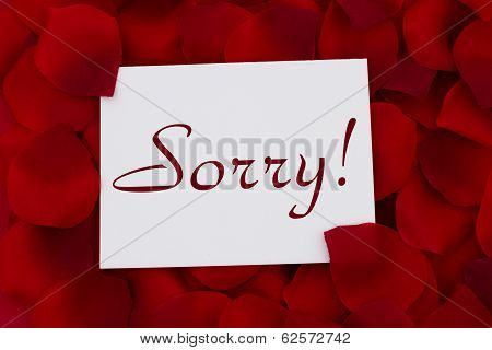 I Am Sorry Card
