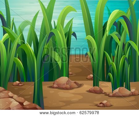 Illustration of the green plants along the river
