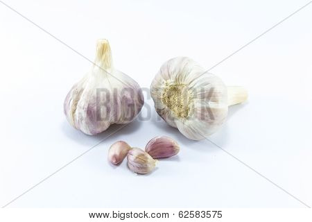 White Garlic On White Background