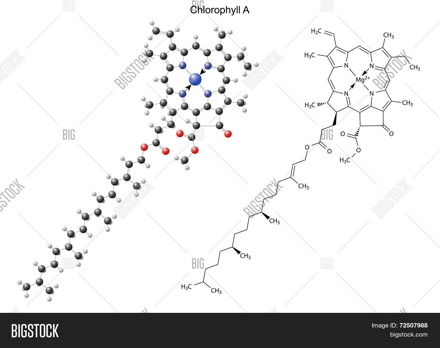 Structural Chemical Vector & Photo (Free Trial) | Bigstock