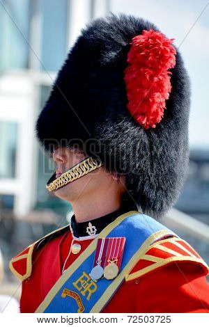 Parade of soldier