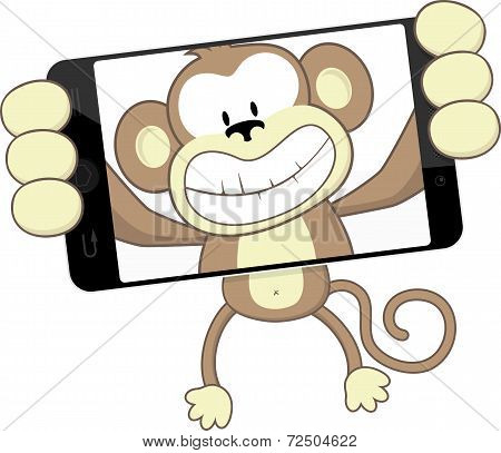 monkey selfie