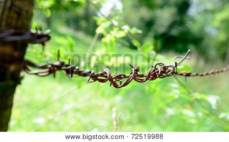 Barbed Wire In The Countryside