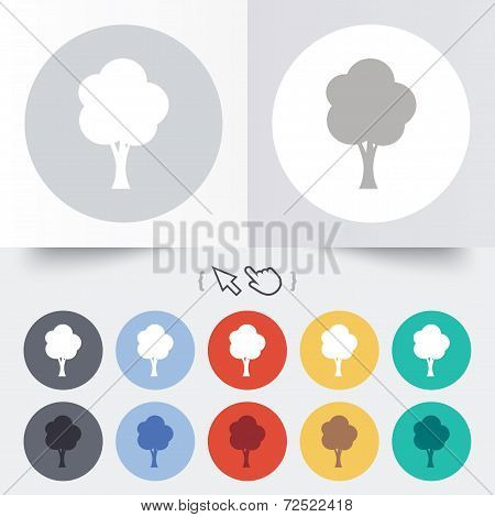 Tree sign icon. Forest symbol.