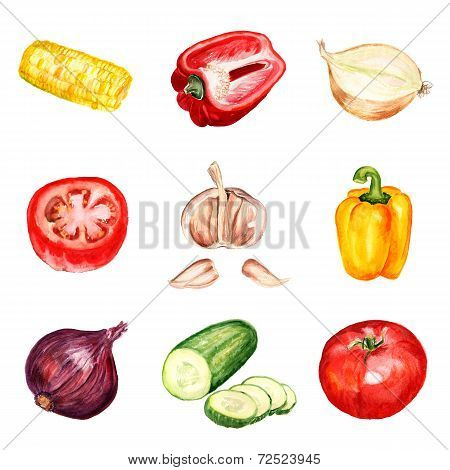 Set of watercolor vegetables